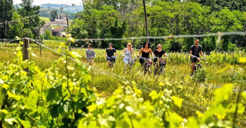 Explore Saint-Émilion on e-Bikes: Small Group, half-Day Tour - Who This Tour Is Not For