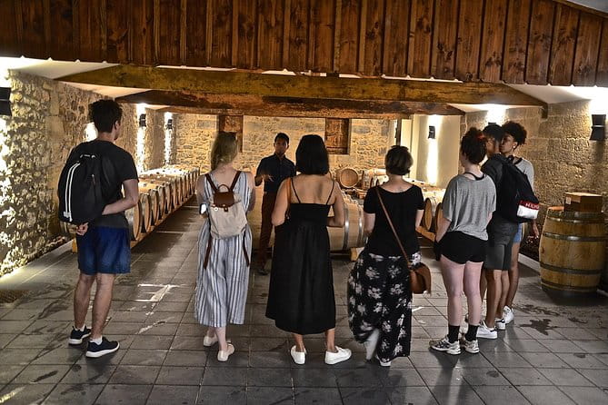 "Explore Saint-Émilion on e-Bikes: Small Group, half-Day Tour" - Key Points