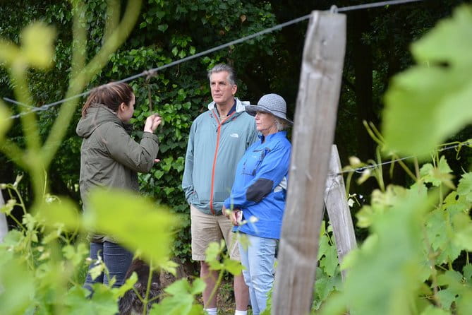 "Explore Saint-Émilion on e-Bikes: Small Group, half-Day Tour" - The Sum Up