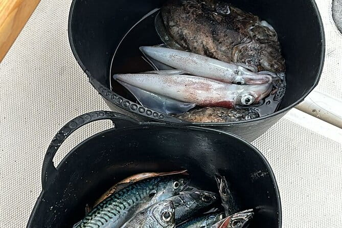 Explore Sesimbra Sports Fishing - FAQs