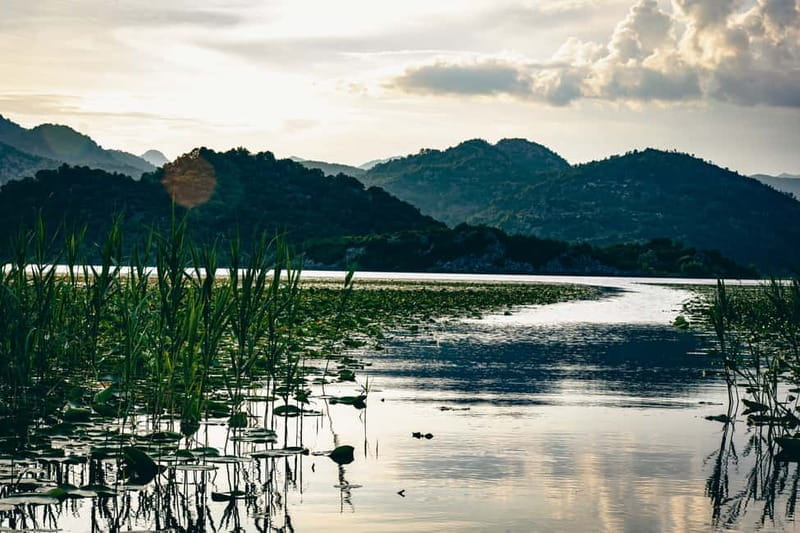 Explore Skadar Lake: Exclusive Guided Boat Falcon Tour! - Exploring Skadar Lake: A Detailed Review