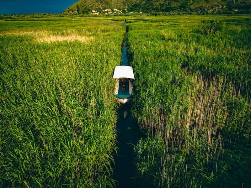 Explore Skadar Lake: Exclusive Guided Boat Falcon Tour! - FAQ