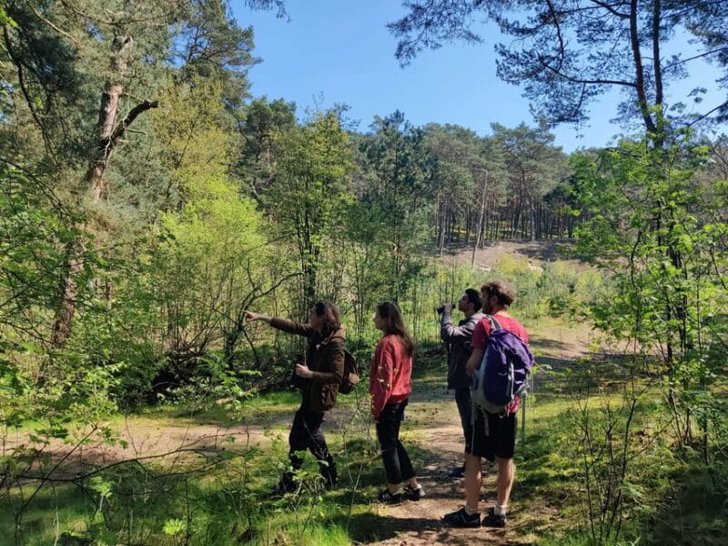 Explore Sobieszewo Island: Nature Walk & Wildlife Tour - Discover Sobieszewo Island: A Natural Gem on Polands Coast