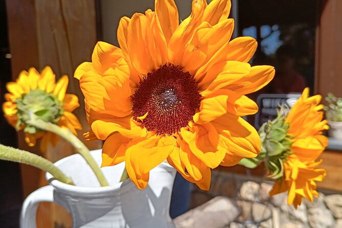 Explore The Elbe Sandstone Mountains in Czech Republic - Who Is This Tour Perfect For?