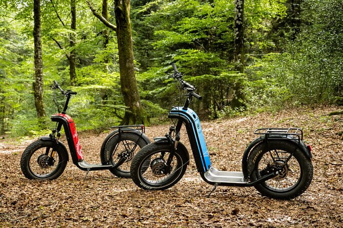 Explore the forests of Haut Languedoc on an electric scooter - Logistics and Practical Tips