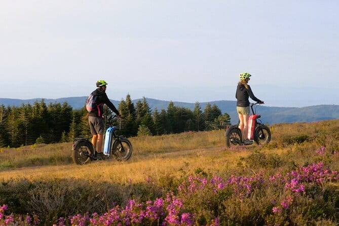 Explore the forests of Haut Languedoc on an electric scooter - Suitable for Different Travelers