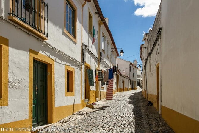Explore the Highlights of Evora: Self-Guided GPS and Audio Tour - Price, Logistics and Practical Tips