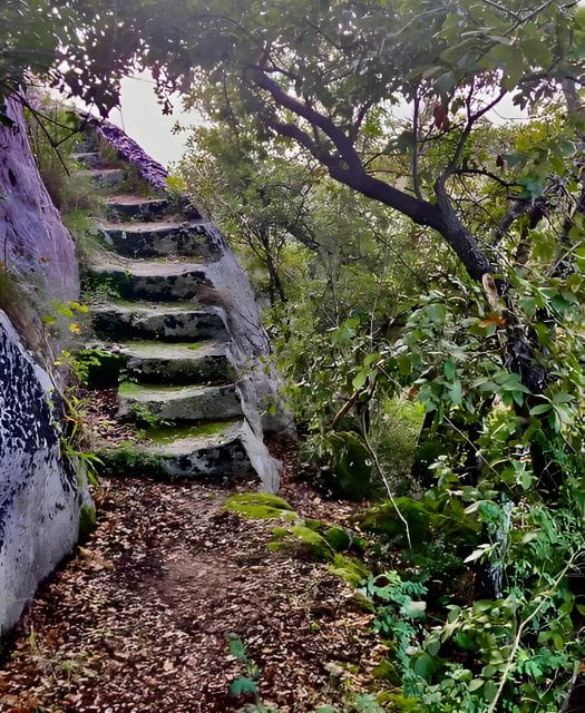 Explore the Murgia Materana UNESCO Park (Italiano & Espanol) - Exploring Murgia Materana UNESCO Park: A Journey Through Time and Nature
