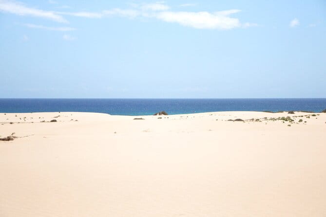 Explore the North of Fuerteventura - Private Camper Tour - Exploring the North of Fuerteventura in Depth