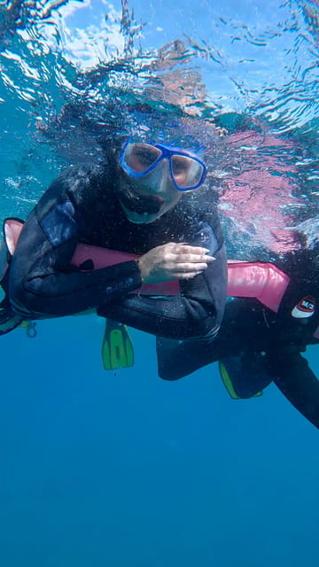 Explore the ocean - Snorkeling for Beginners Los Cristianos - Why This Snorkeling Tour Works Well for Beginners
