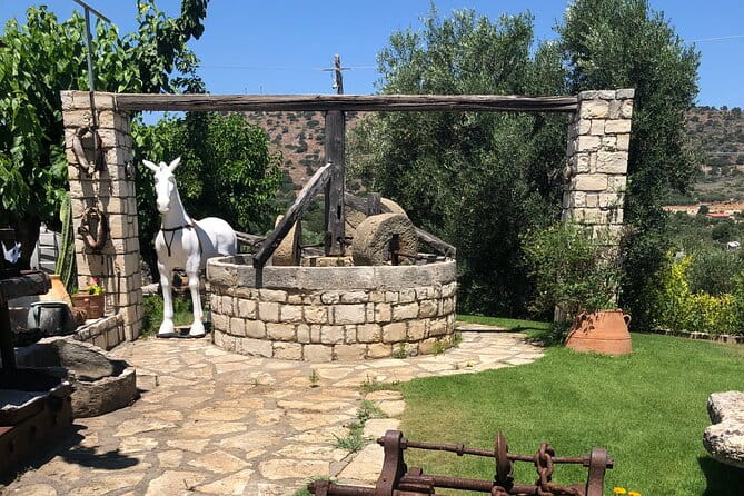 Explore the Secrets of Wine and Olives in Rethymno - Price and Value: Is It Worth It?