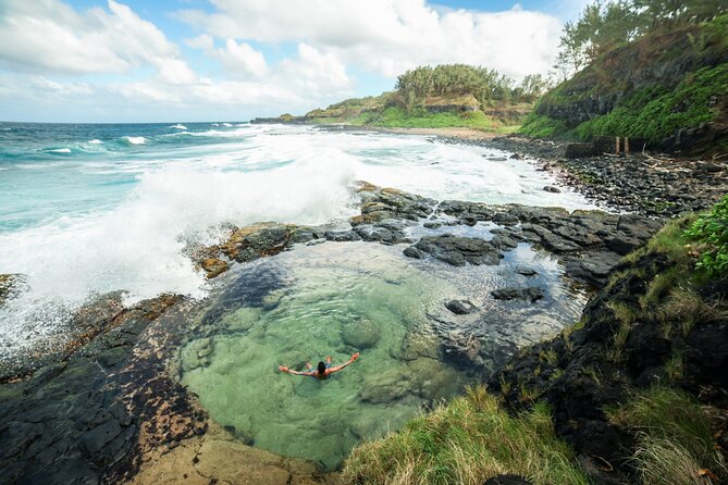 Explore The Wild South - Spotting Unique Flora and Fauna