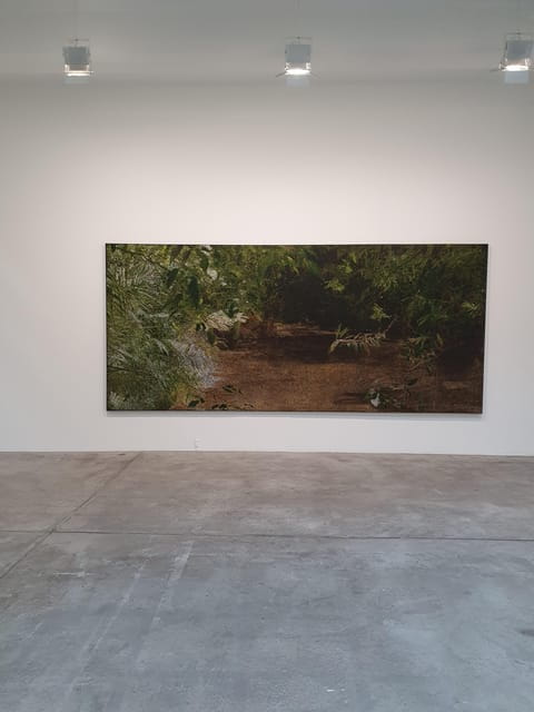 Exploring contemporary art galleries - The Value of a Guided Art Tour in Paris