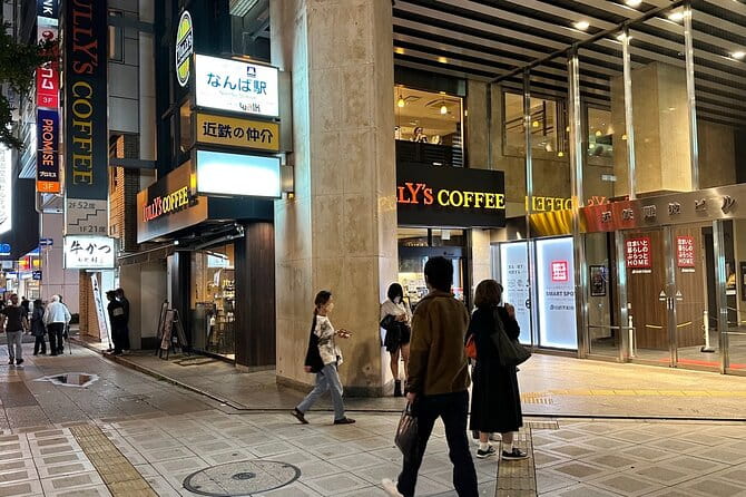 Exploring Dotonbori and Namba A Private Osaka Half Day Food Tour - Tasting Seasonal Local Desserts