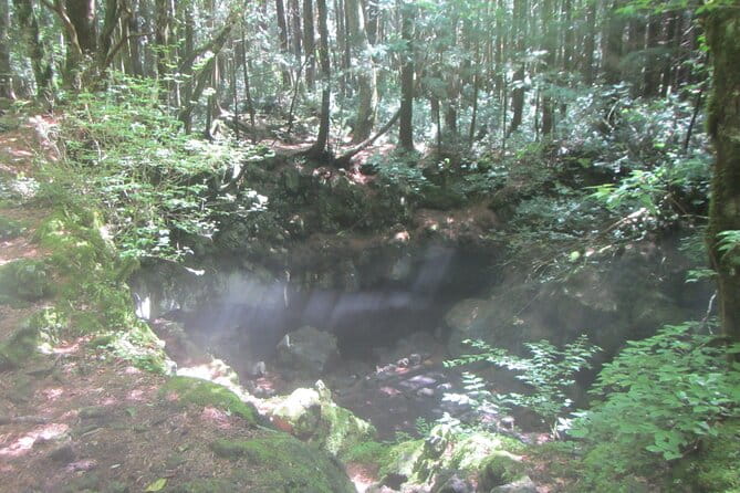 Exploring Mt Fuji Ice Cave and Sea of Trees Forest - Gear and Safety Considerations