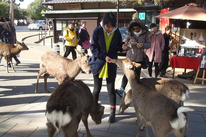 Exploring Nara - The Great Buddha at Todai-ji Temple