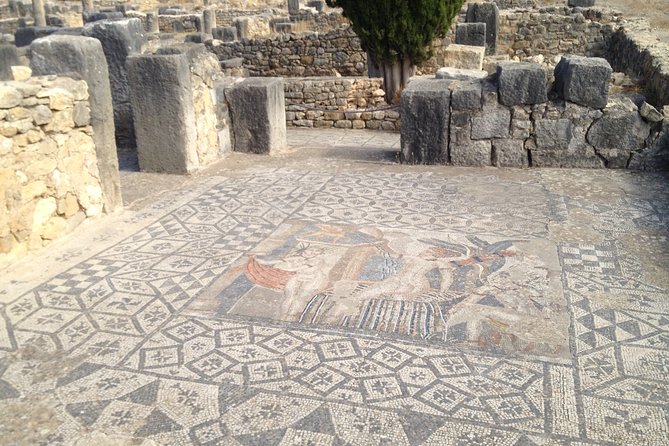 Exploring Tangier: Highlights and Hidden Gems - Setting out on a Camel Adventure