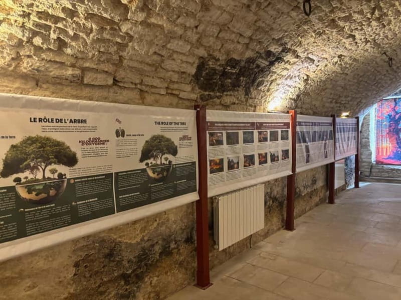 Exposition "Les forêts en souffrance" & Dégustation de vins - Key Points / Takeaways