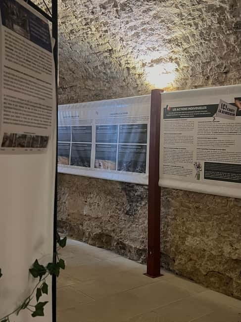 Exposition "Les forêts en souffrance" & Dégustation de vins - Entering the World of "Les forêts en souffrance" & Burgundy Wines