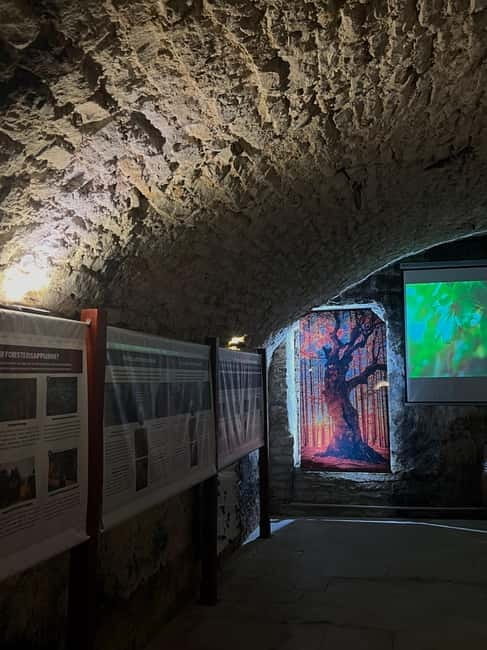 Exposition "Les forêts en souffrance" & Dégustation de vins - Who Will Enjoy This Experience Most?