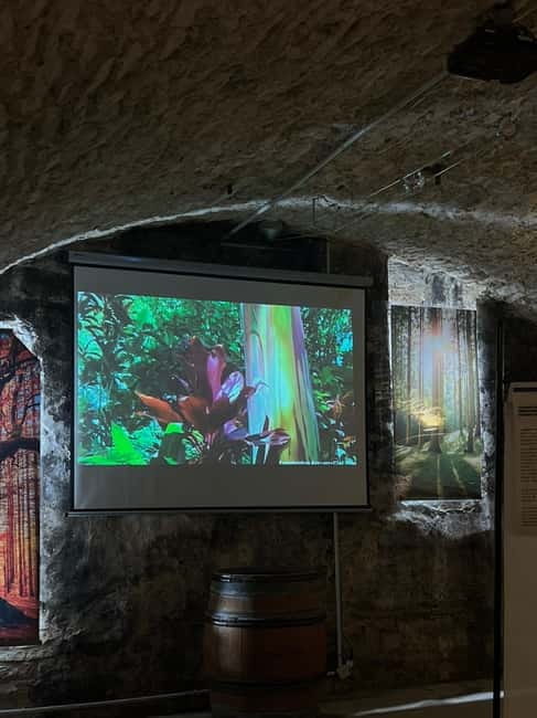 Exposition "Les forêts en souffrance" & Dégustation de vins - Price and Logistics: Making the Most of Your Visit