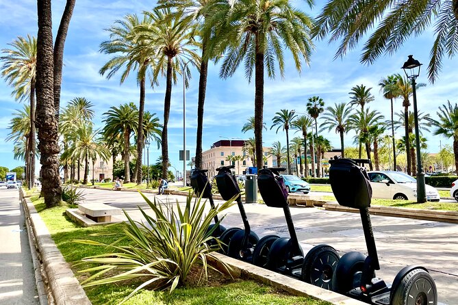 Express 1 Hour Segway Tour - Group Size and Capacity