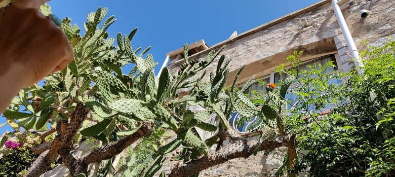 Èze: Walking Tour with a Certified Local Guide - Who Should Skip It