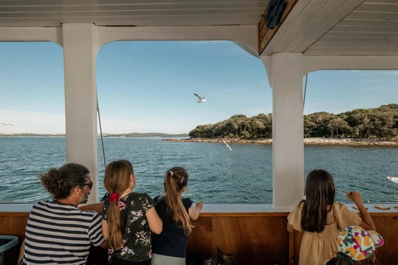 FAANA: DOLPHIN SAFARI - Practical Details for Your Dolphin Safari