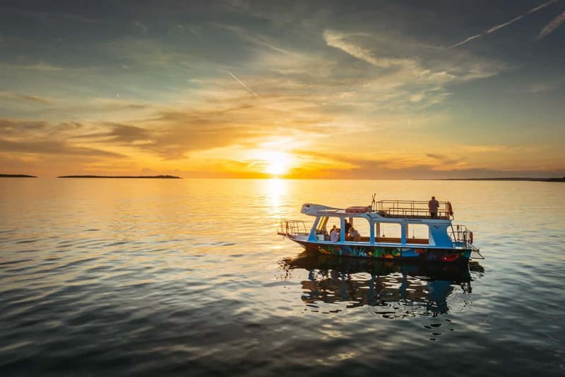 FAANA: DOLPHIN SAFARI - Who Will Love This Experience?