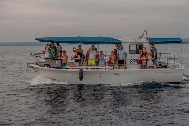 Faana: Dolphin & Sunset - Key Points / Takeaways