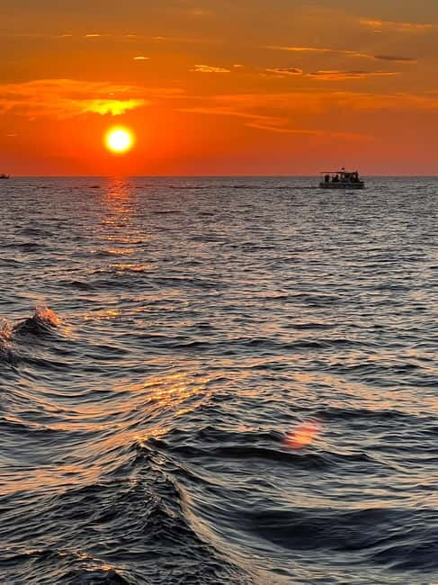 Faana: Dolphin & Sunset - Discovering the Croatian Coast: A Genuine Look at the Faana Dolphin & Sunset Tour