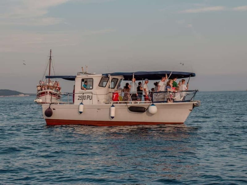 Faana: Dolphin & Sunset - Final Thoughts: Is It Worth It?