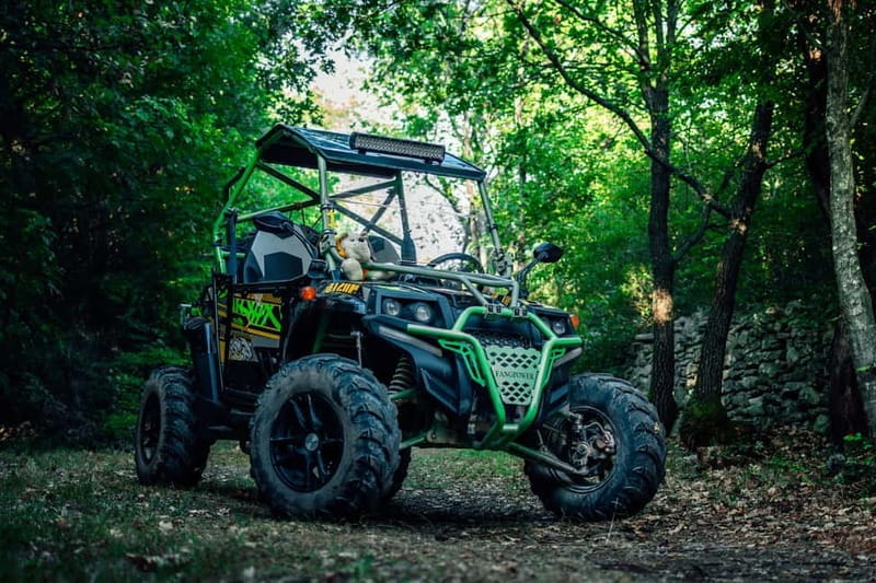 Faana: Guided Buggy Tour in the Heart of Istria - Who Will Love This Adventure?