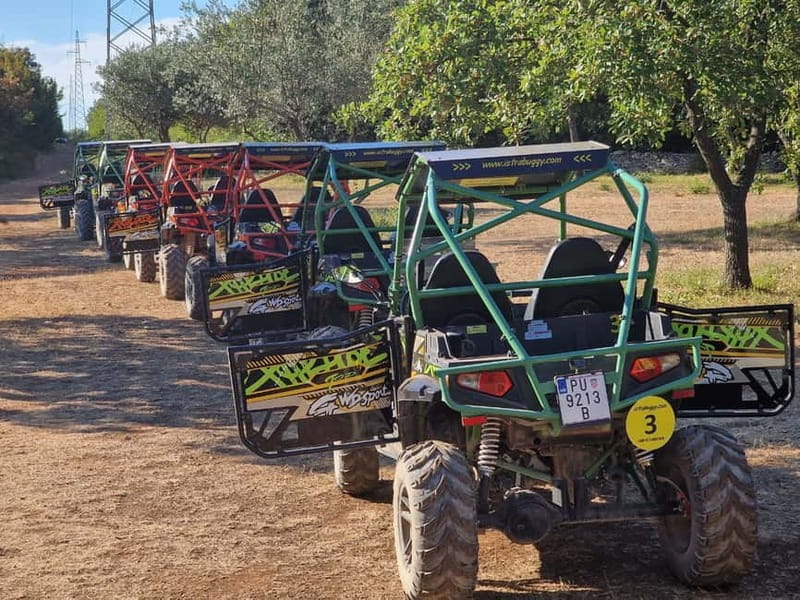 Faana: Guided Buggy Tour in the Heart of Istria - Price and Logistics