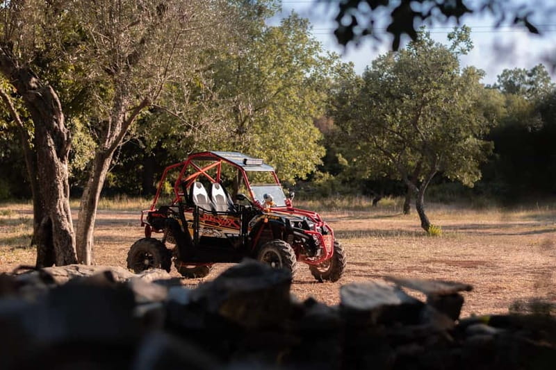Faana: Guided Buggy Tour in the Heart of Istria - Practical Tips for Your Buggies Adventure