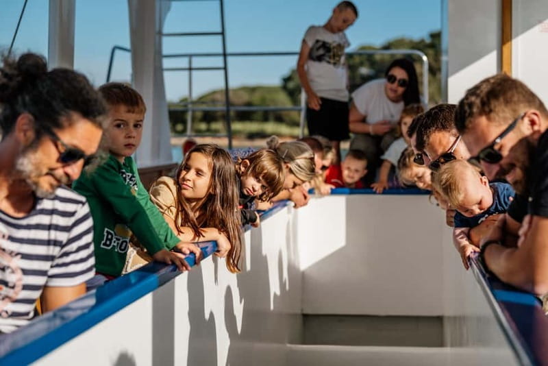 FAANA: NATIONAL PARK BRIJUNI GLASS BOAT PRIVATE TOUR - Exploring the Brijuni Experience: A Practical Guide