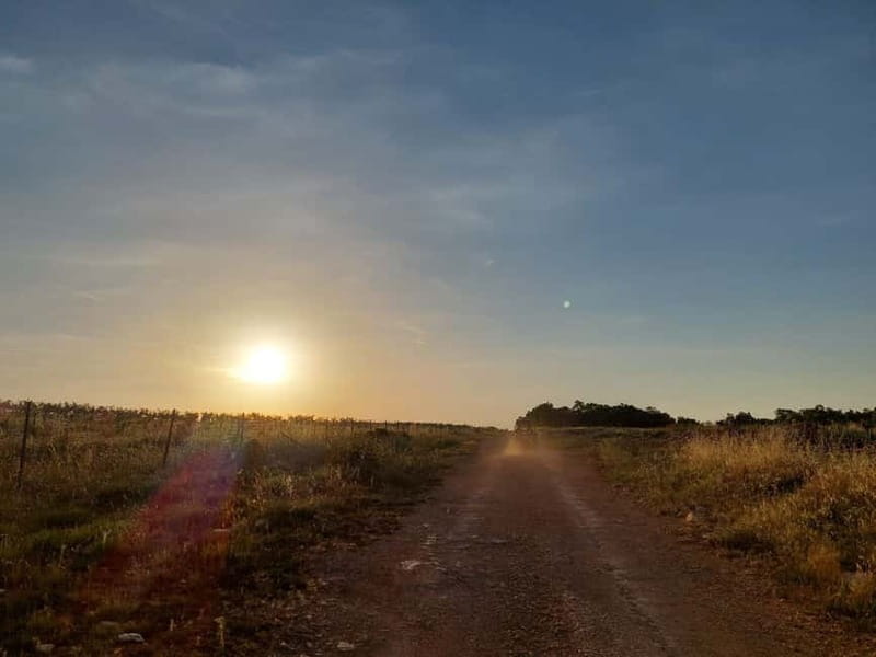 Faana: Sunset Buggy Tour with a possibility of swimming - Exploring Istria from a Different Angle: The Buggy Experience
