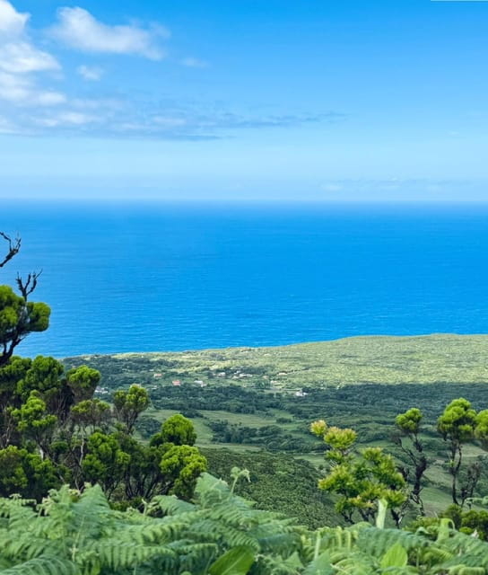 Faial Island: Caldeira Perimeter Hiking Tour - Who Should Consider This Tour?