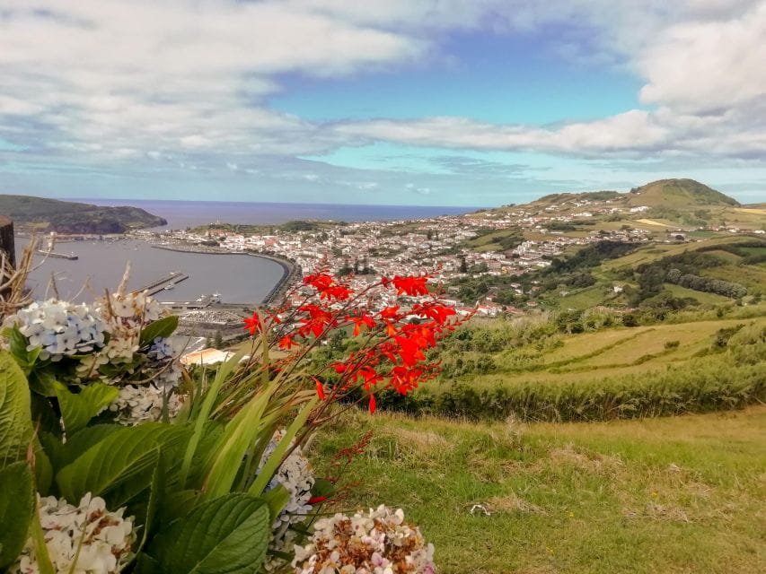 Faial Island: Half Day Tour - the Main Attractions - Faial Caldeira