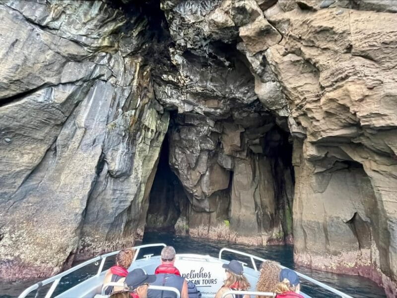 Faial Island: Unique boat tour to the Capelinhos volcano - Key Points / Takeaways