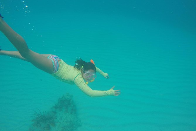 Fajardo Afternoon Snorkeling Adventure Tour - Tour Inclusions