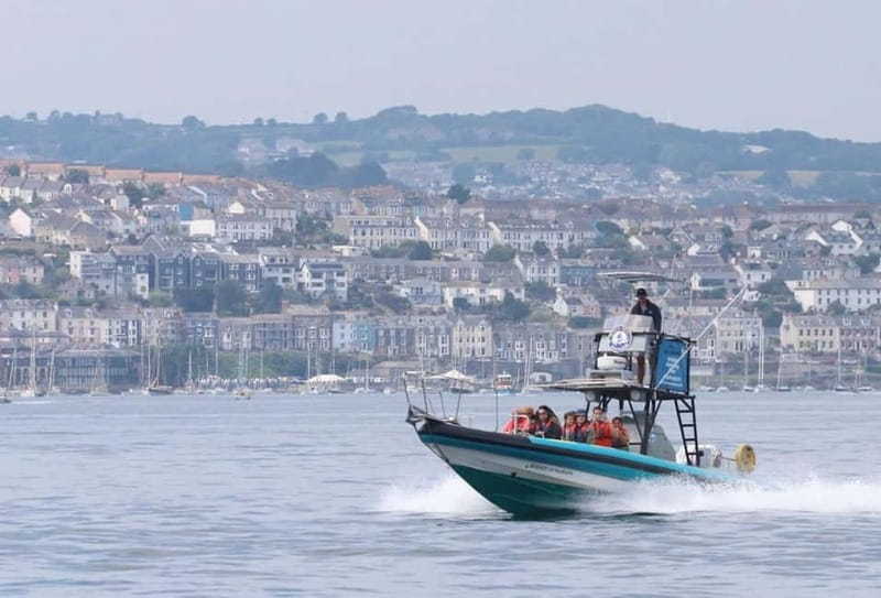 Falmouth: 2 Hour Wildlife Watching RIB Tour - Key points / Takeaways