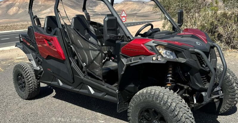 Family buggy - 4 seats, on road tour - Who Will Love This Tour?