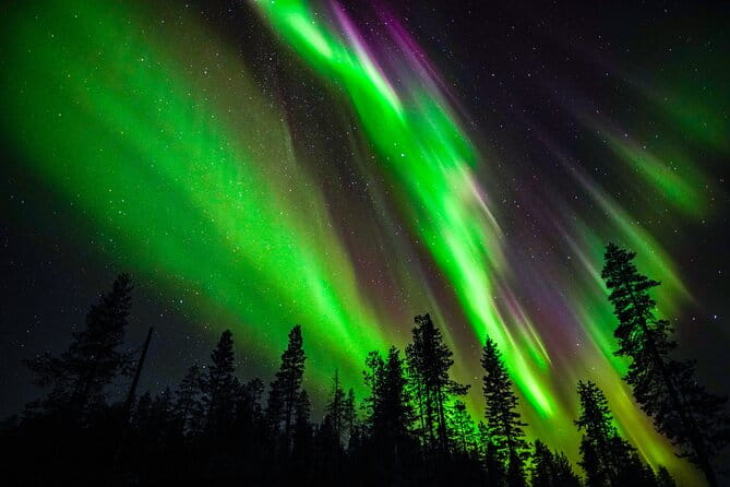 Family-Friendly: Northern Lights Adventure from Rovaniemi - Introduction to the Experience