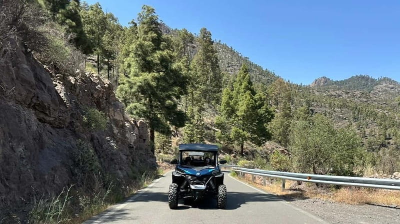 FAMILY FUN MONSTER BUGGY TOUR - Who will love this tour?