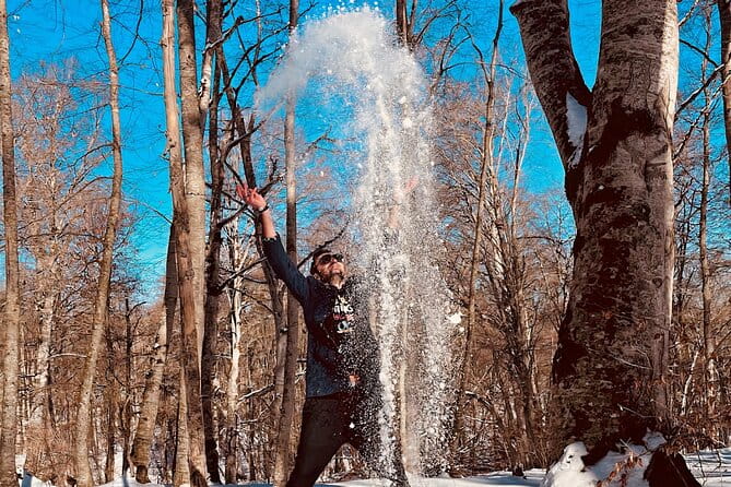 Family Half-Day Tour: Sabaduri, Georgian Chronicles, & Jvari - Who Will Love This Tour?