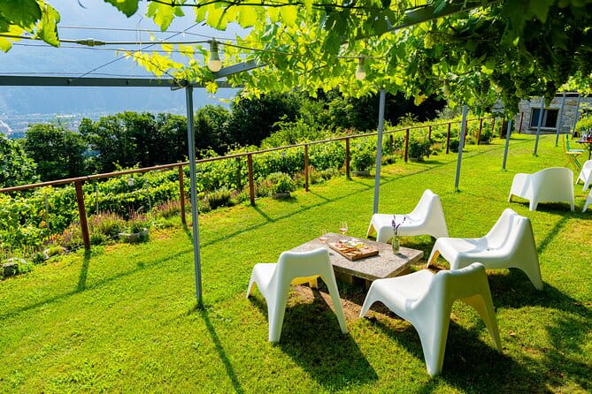 Family tasting - A little tasting - Practical Details and Logistics