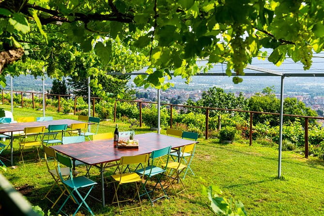 Family tasting - A little tasting - Who Should Book This Experience?