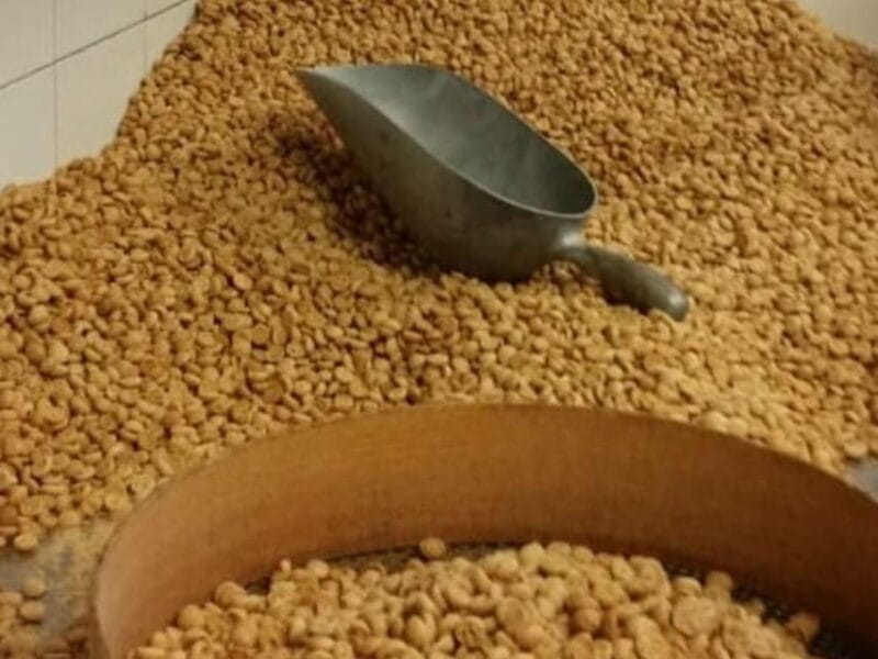 Famous Patisserie Visit and Tasting near Turin - Key Points and Takeaways