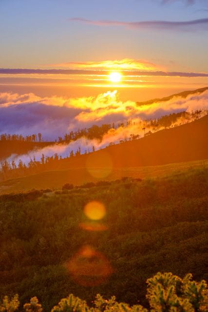 Fanal Forest Exploration Tour + Sunset With Food and Drinks - Tour Requirements and Cancellation Policy